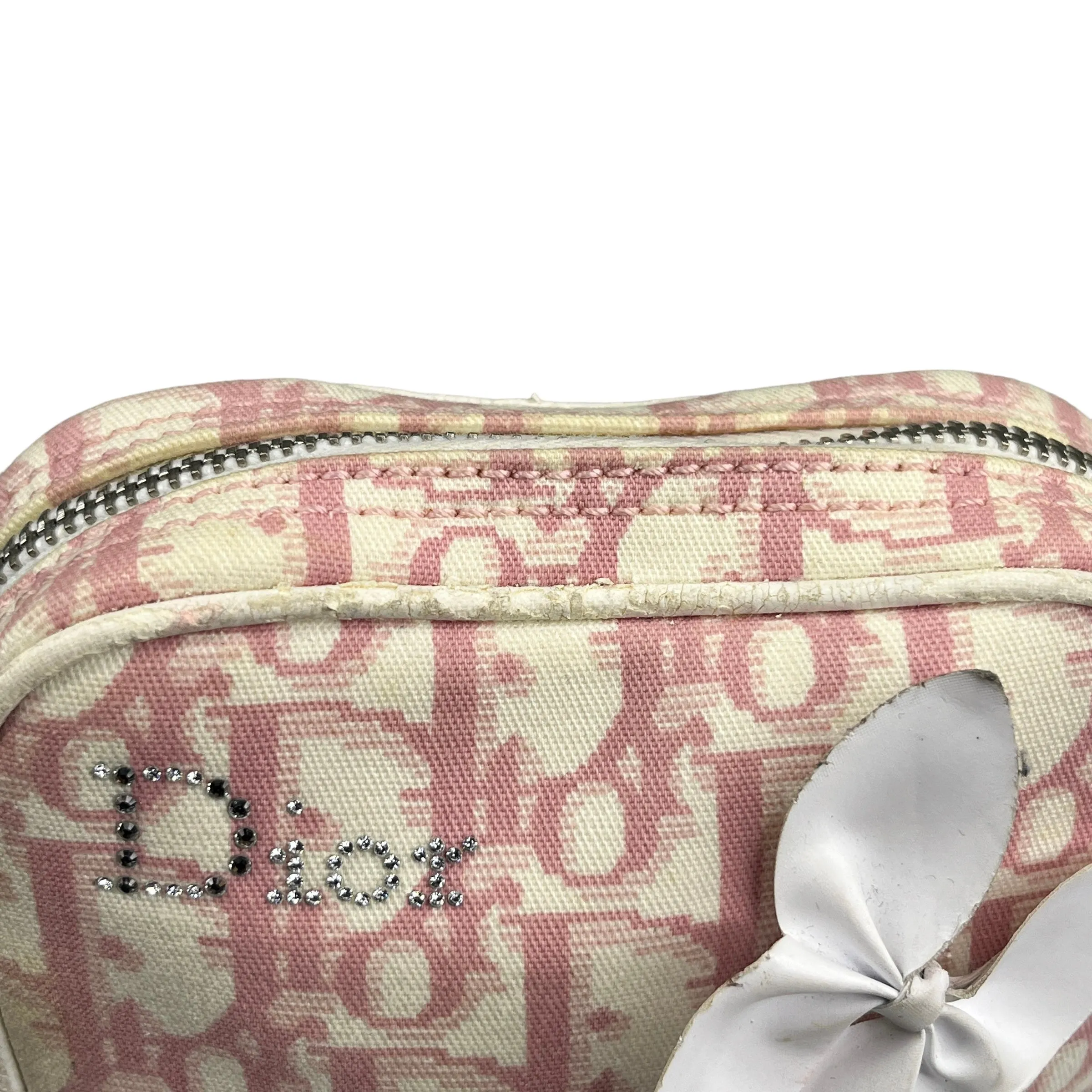 DIOR PINK FLORAL TROTTER CROSSBODY BAG