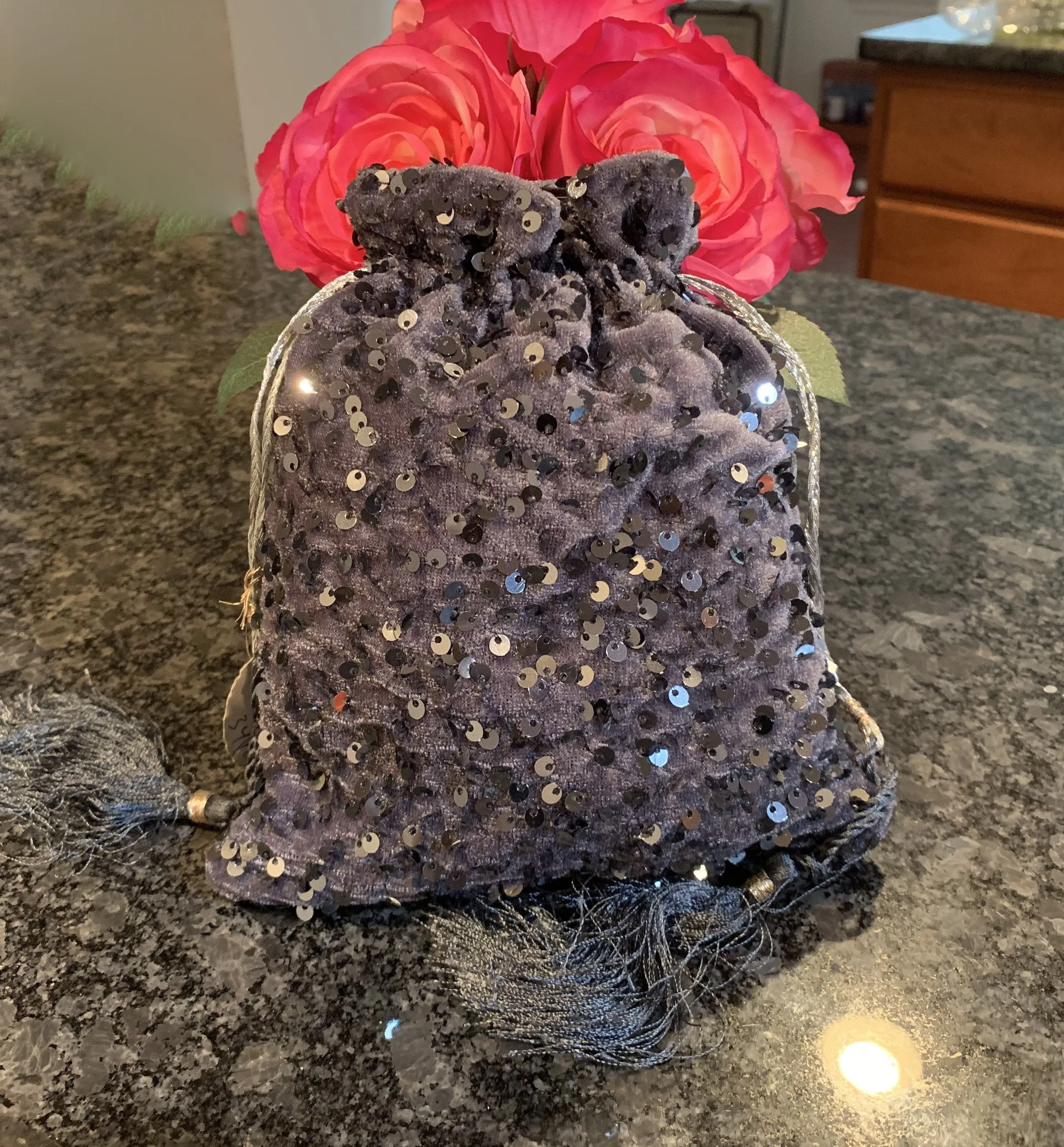 Sequin Embroidery Purse